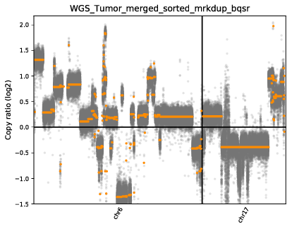 WGS_Tumor_merged_sorted_mrkdup_bqsr-scatter.png